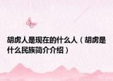胡虏人是现在的什么人（胡虏是什么民族简介介绍）