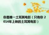 你是唯一土耳其电影（只有你 2014年上映的土耳其电影）