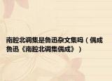 南腔北调集是鲁迅杂文集吗（偶成 鲁迅《南腔北调集偶成》）