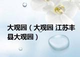 大观园（大观园 江苏丰县大观园）