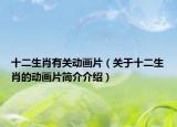 十二生肖有关动画片（关于十二生肖的动画片简介介绍）