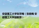 安徽理工大学张翠梅（张晓梅 安徽理工大学副教授）