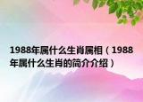 1988年属什么生肖属相（1988年属什么生肖的简介介绍）