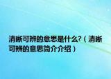 清晰可辨的意思是什么?（清晰可辨的意思简介介绍）