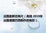 法国最新恐怖片（高烧 2019年法国德国巴西制作的电影）
