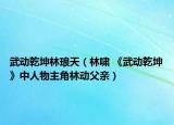 武动乾坤林琅天（林啸 《武动乾坤》中人物主角林动父亲）