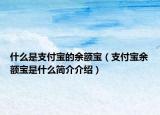 什么是支付宝的余额宝（支付宝余额宝是什么简介介绍）
