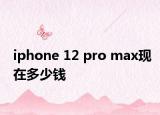 iphone 12 pro max现在多少钱