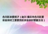 合川区农委班子（赵川 重庆市合川区委农业农村工委委员区农业农村委副主任）