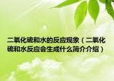 二氧化硫和水的反应现象（二氧化硫和水反应会生成什么简介介绍）