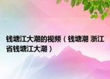 钱塘江大潮的视频（钱塘潮 浙江省钱塘江大潮）