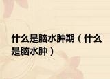什么是脑水肿期（什么是脑水肿）