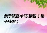 条子骇客gif表情包（条子骇客）
