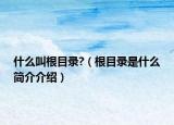 什么叫根目录?（根目录是什么简介介绍）