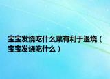 宝宝发烧吃什么菜有利于退烧（宝宝发烧吃什么）