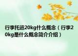 行李托运20kg什么概念（行李20kg是什么概念简介介绍）