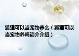 狐狸可以当宠物养么（狐狸可以当宠物养吗简介介绍）