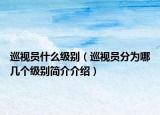 巡视员什么级别（巡视员分为哪几个级别简介介绍）
