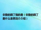 辛勤的园丁指的是（辛勤的园丁是什么意思简介介绍）