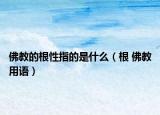 佛教的根性指的是什么（根 佛教用语）