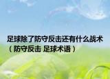 足球除了防守反击还有什么战术（防守反击 足球术语）