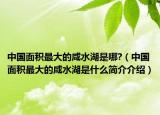 中国面积最大的咸水湖是哪?（中国面积最大的咸水湖是什么简介介绍）