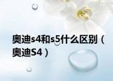 奥迪s4和s5什么区别（奥迪S4）