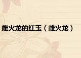 雌火龙的红玉（雌火龙）