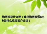 梅西吗是什么梗（我是梅西我慌nmb是什么意思简介介绍）