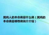 属鸡人的本命佛是什么佛（属鸡的本命佛是哪尊佛简介介绍）