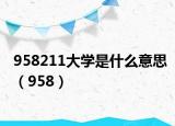 958211大学是什么意思（958）