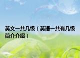 英文一共几级（英语一共有几级简介介绍）