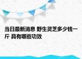 当日最新消息 野生灵芝多少钱一斤 具有哪些功效