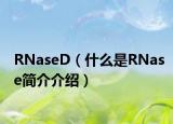 RNaseD（什么是RNase简介介绍）