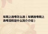 车网上选号怎么选（车辆选号网上选号流程是什么简介介绍）