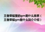 王者荣耀里的gm是什么意思（王者荣耀gm是什么简介介绍）