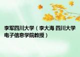 李军四川大学（李大海 四川大学电子信息学院教授）