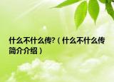 什么不什么传?（什么不什么传简介介绍）