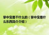 掌中宝是干什么的（掌中宝是什么东西简介介绍）