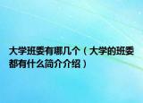 大学班委有哪几个（大学的班委都有什么简介介绍）