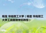 杨宝 华南理工大学（杨雷 华南理工大学工商管理学院教授）