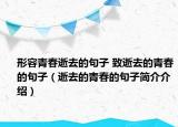 形容青春逝去的句子 致逝去的青春的句子（逝去的青春的句子简介介绍）