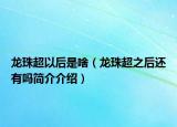 龙珠超以后是啥（龙珠超之后还有吗简介介绍）