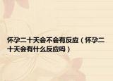怀孕二十天会不会有反应（怀孕二十天会有什么反应吗）