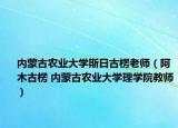 内蒙古农业大学斯日古楞老师（阿木古楞 内蒙古农业大学理学院教师）