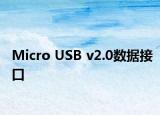 Micro USB v2.0数据接口