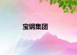 宝钢集团