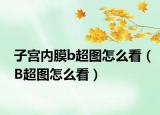 子宫内膜b超图怎么看（B超图怎么看）
