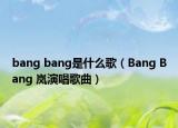 bang bang是什么歌（Bang Bang 岚演唱歌曲）