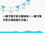 一英寸等于多少厘米米（一英寸等于多少毫米简介介绍）